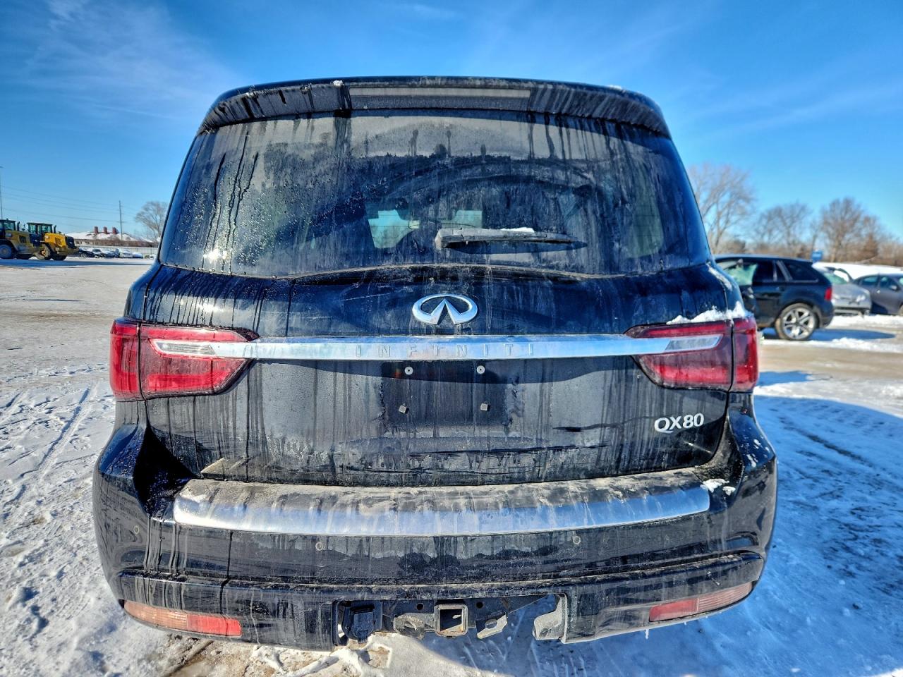 2019 INFINITI QX80 LUXE photo 6