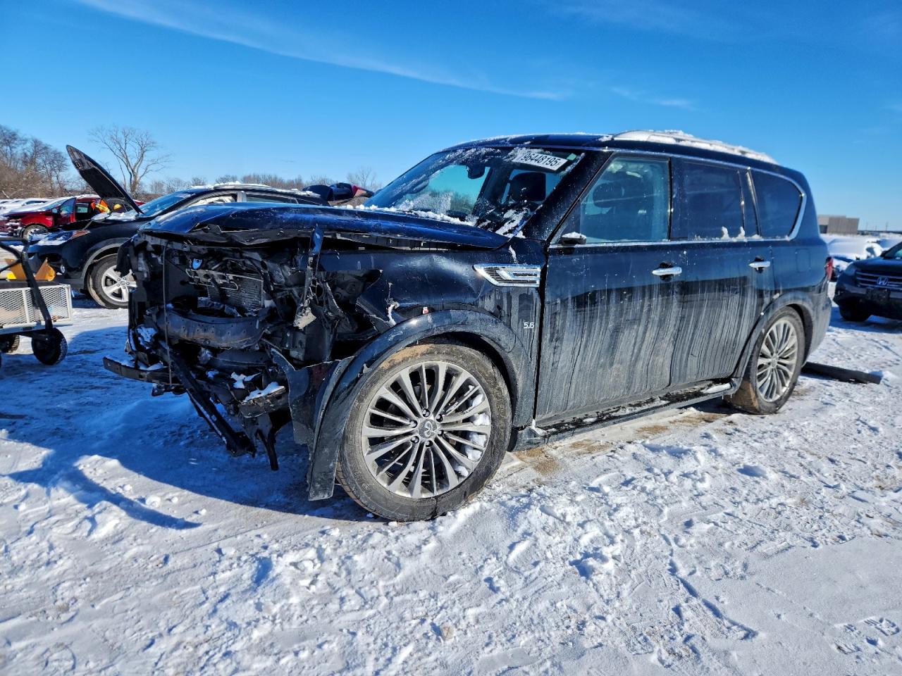 2019 INFINITI QX80