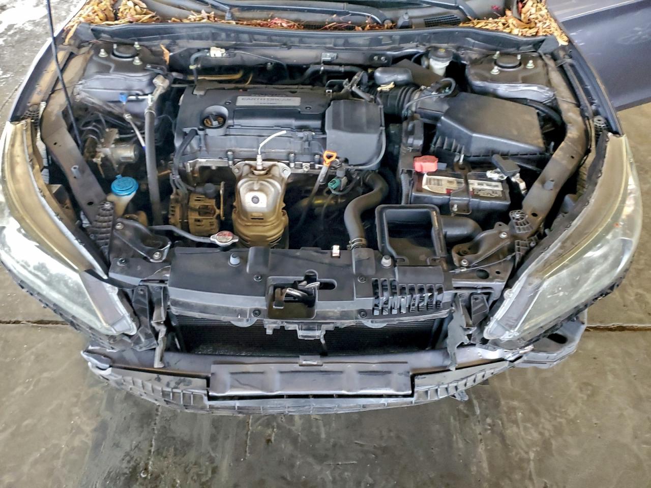 2014 HONDA ACCORD LX photo 11