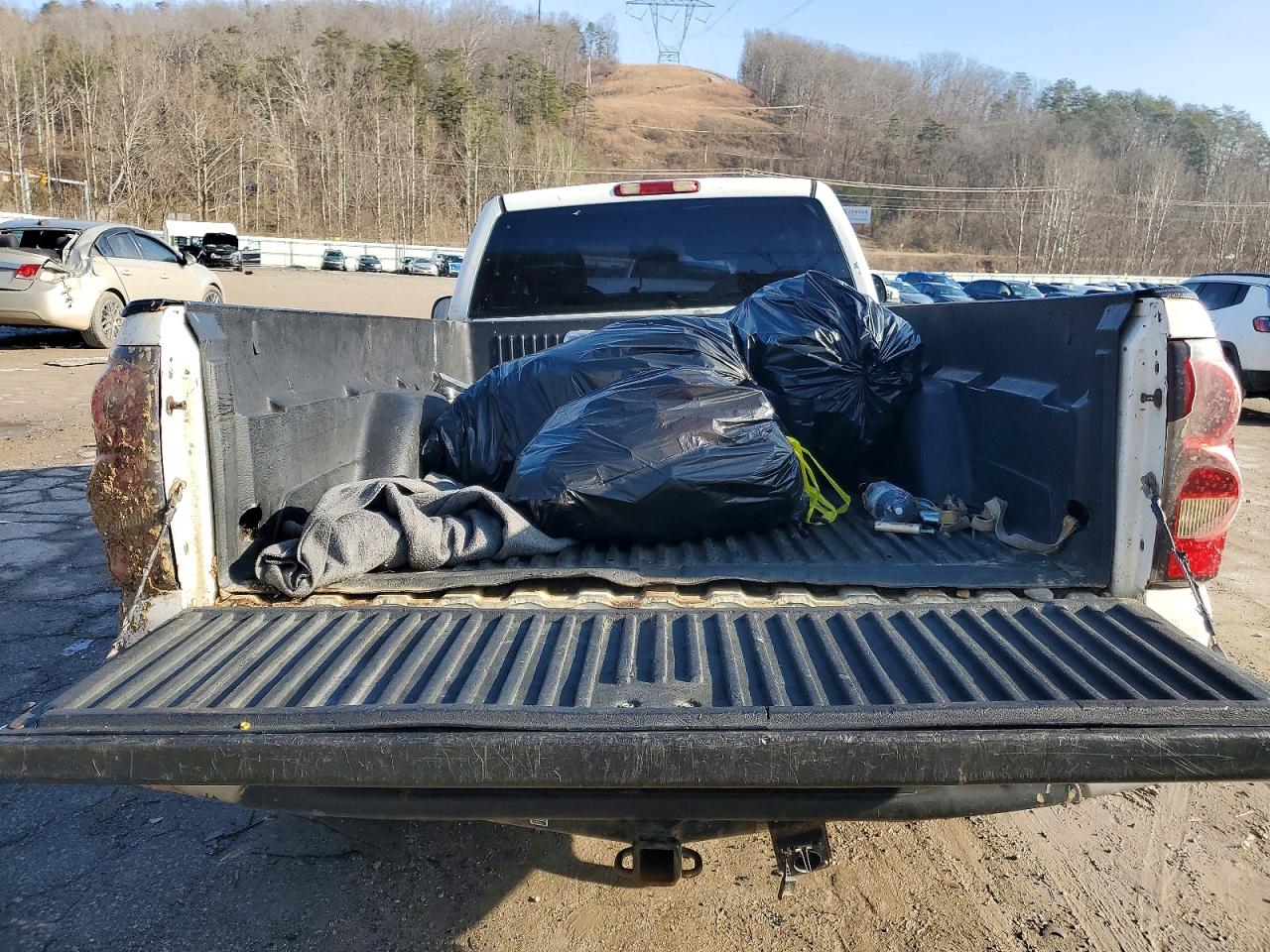 2006 CHEVROLET SILVERADO C1500 photo 10