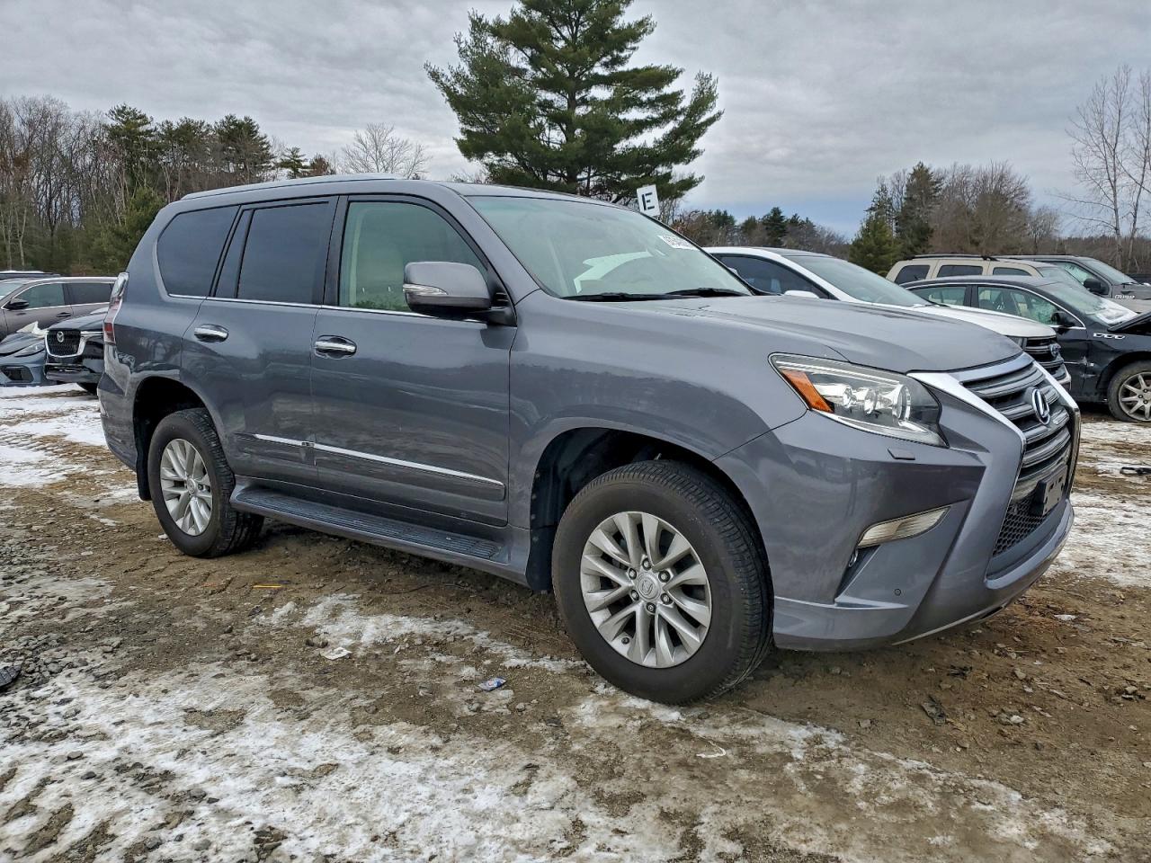 2016 LEXUS GX 460 photo 4