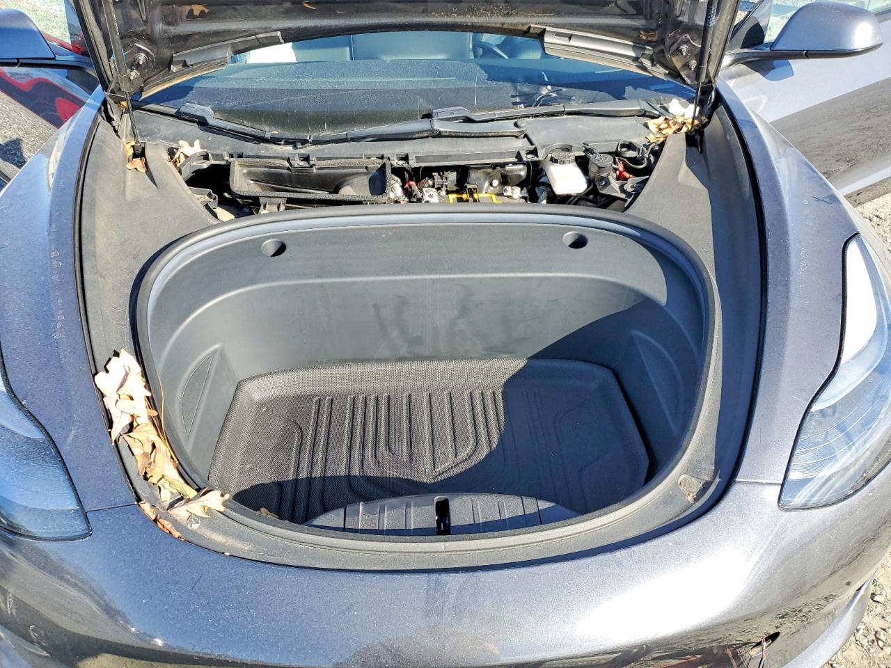 2021 TESLA MODEL 3 photo 11