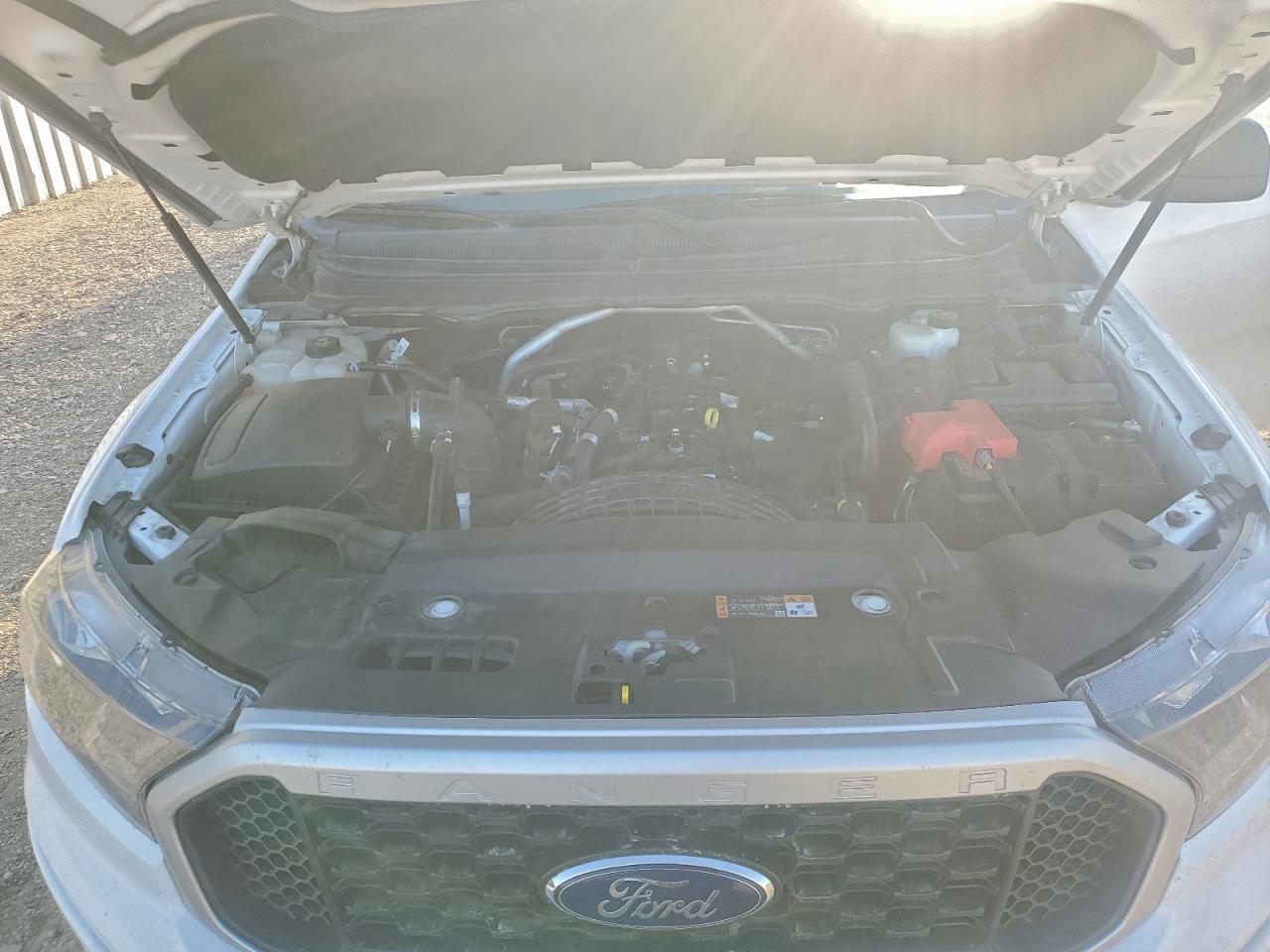 2019 FORD RANGER XL photo 11