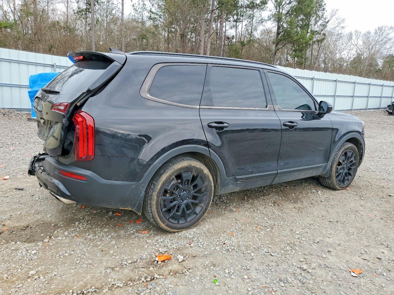 2021 KIA TELLURIDE SX photo 3