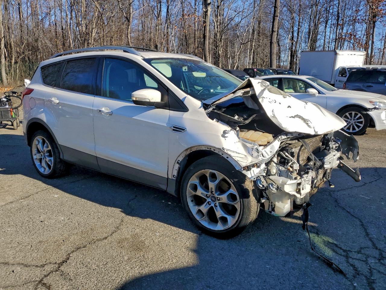 2014 FORD ESCAPE TITANIUM photo 4