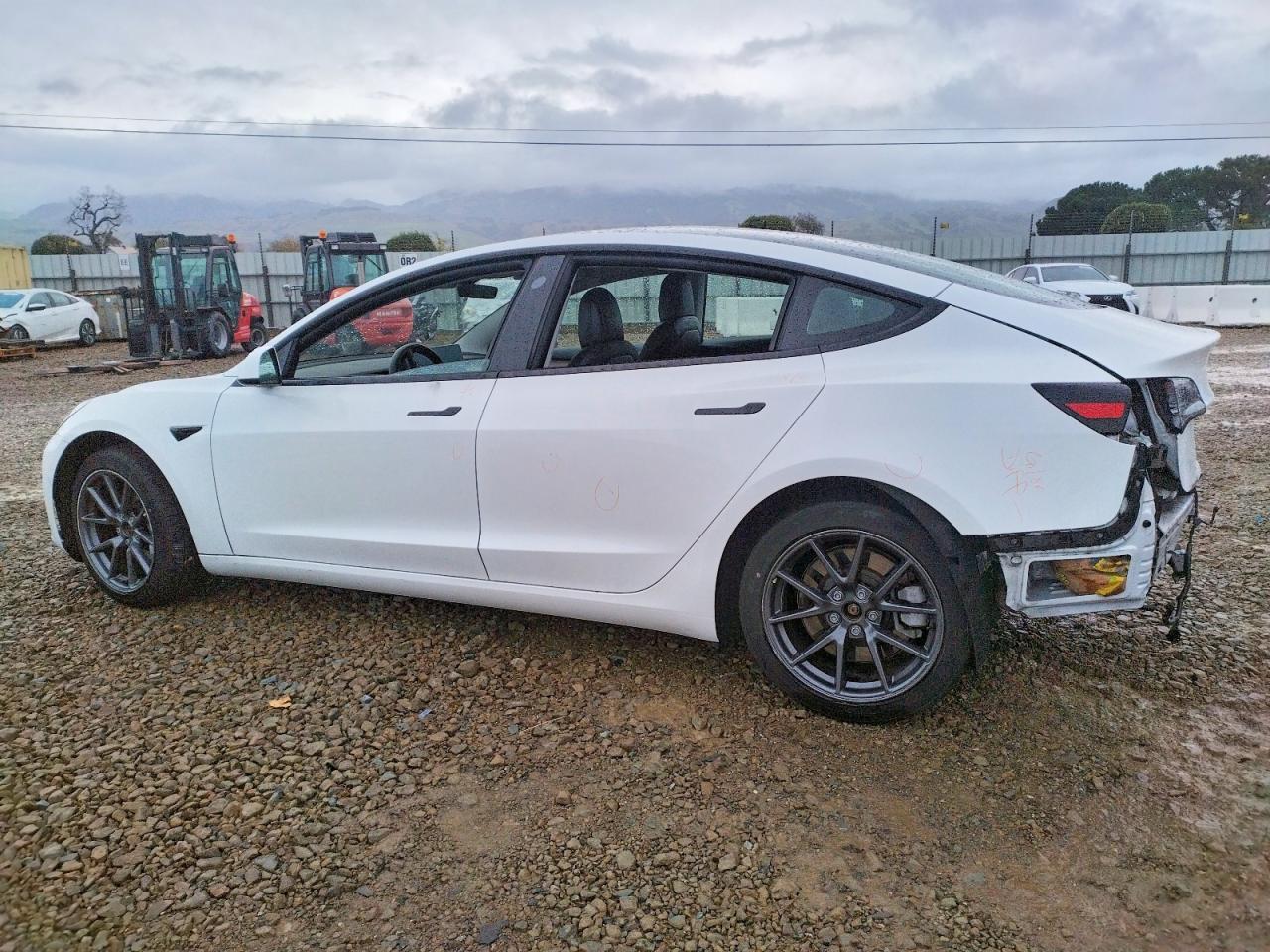 2021 TESLA MODEL 3 photo 2