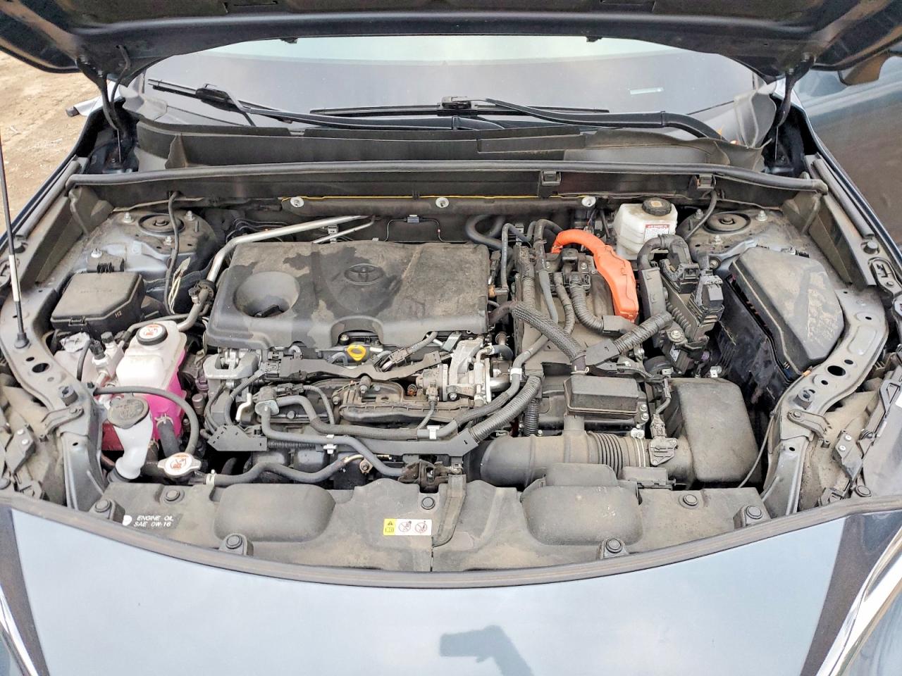 2021 TOYOTA VENZA LE photo 11
