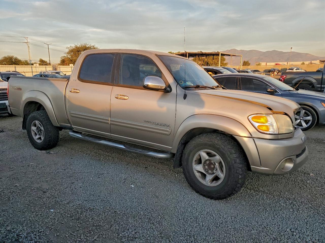2004 TOYOTA TUNDRA DOUBLE CAB SR5 photo 4