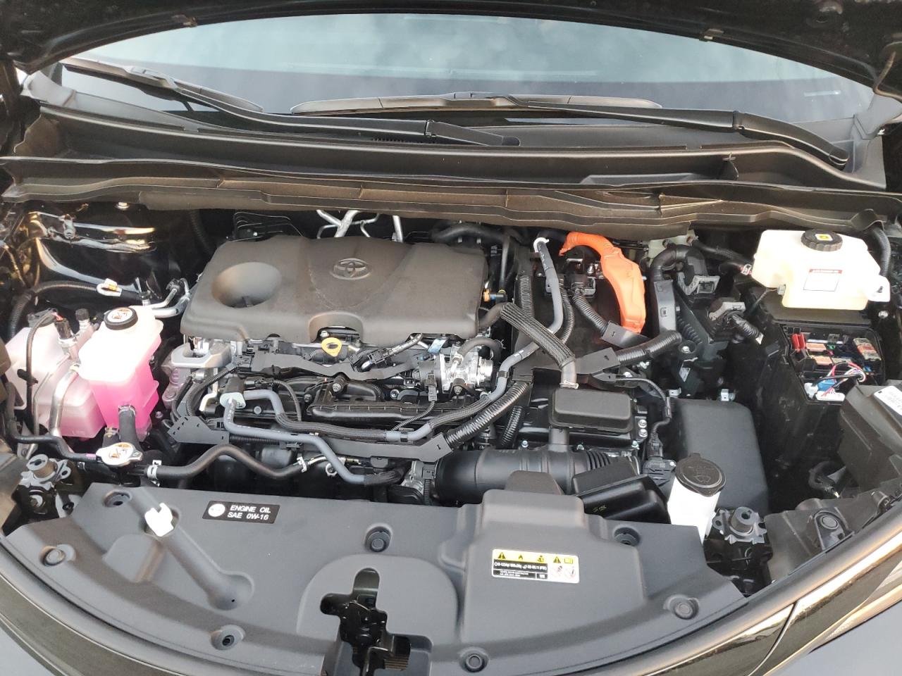 2025 TOYOTA SIENNA XSE photo 12
