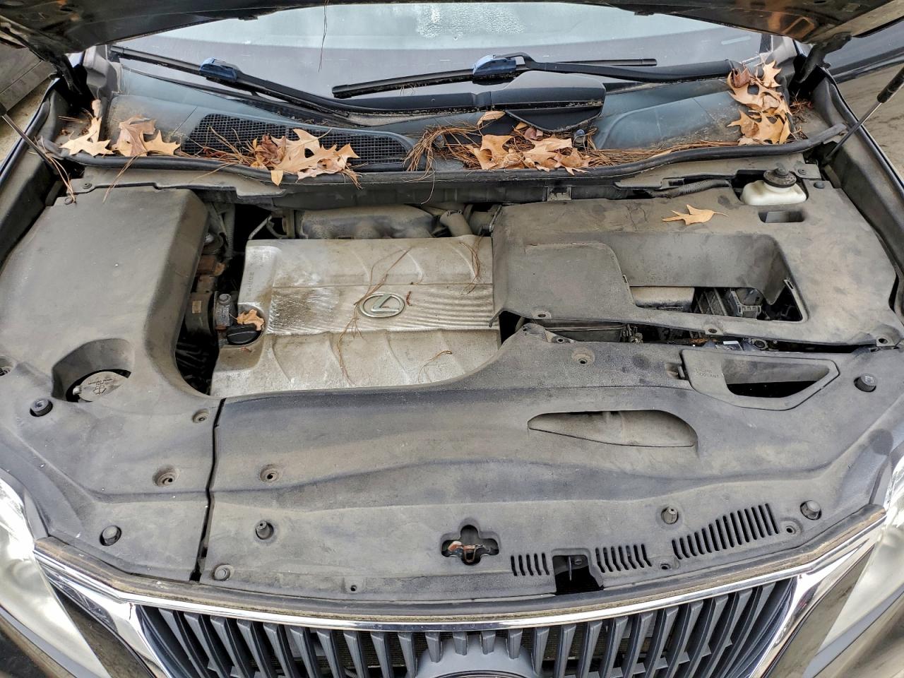 2011 LEXUS RX 350 photo 11