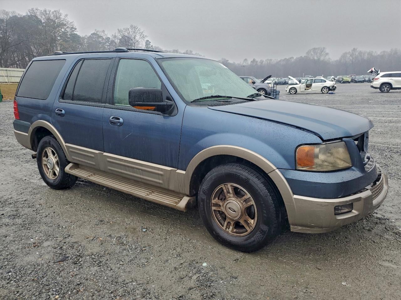 2004 FORD EXPEDITION EDDIE BAUER photo 10