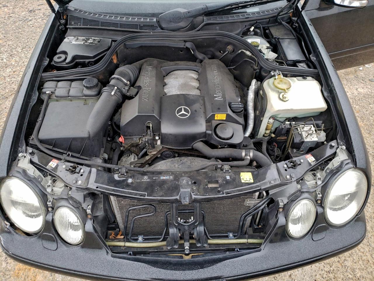 2001 MERCEDES-BENZ CLK 320 photo 11