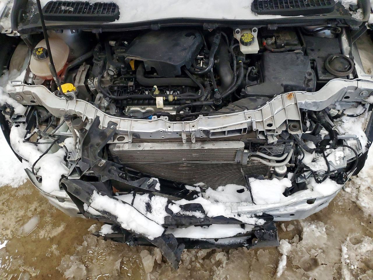 2019 FORD ESCAPE SE photo 12