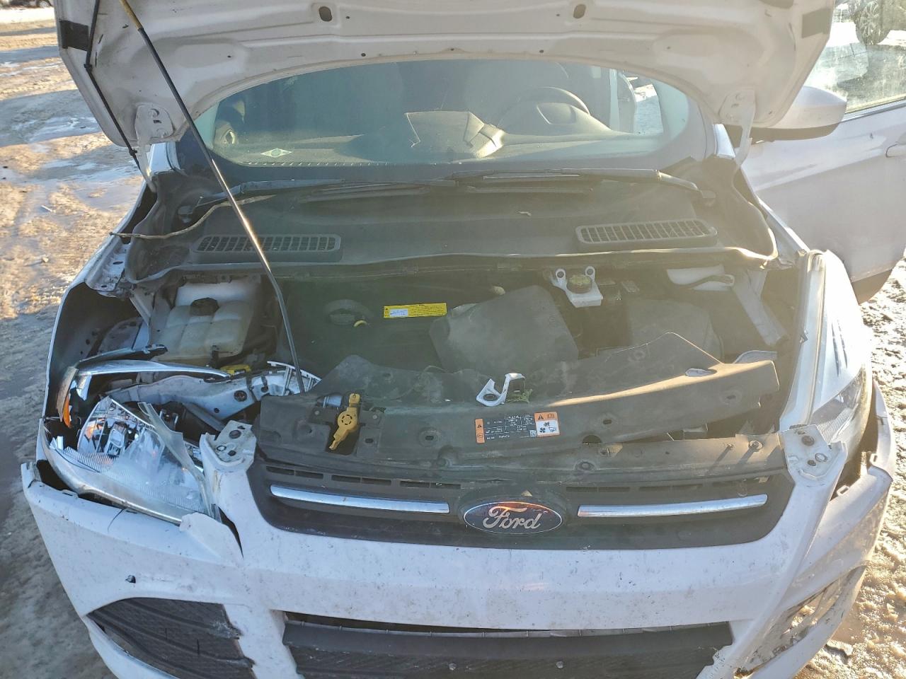 2016 FORD ESCAPE SE photo 23