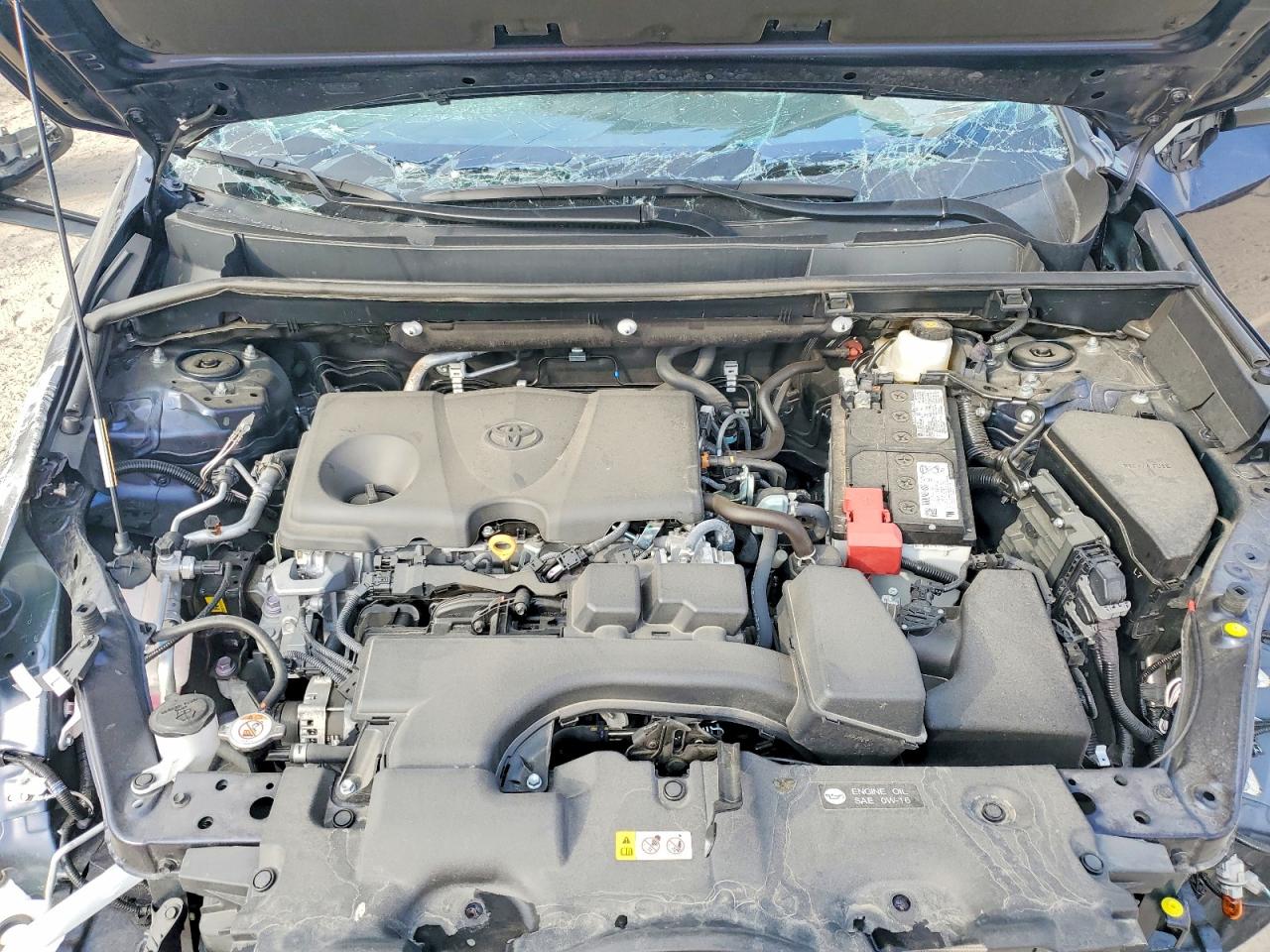 2025 TOYOTA RAV4 XLE PREMIUM photo 12
