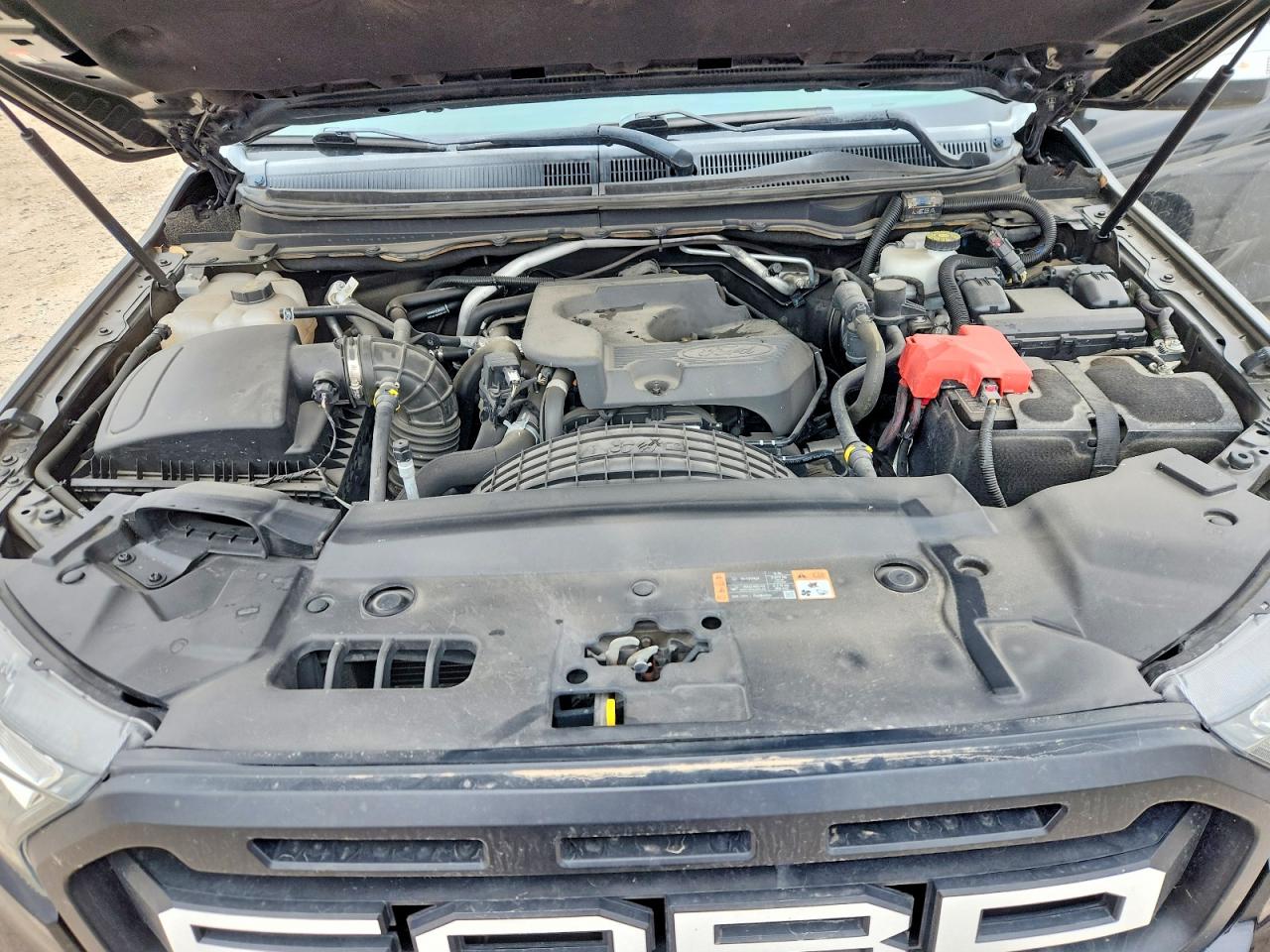 2019 FORD RANGER XL photo 11