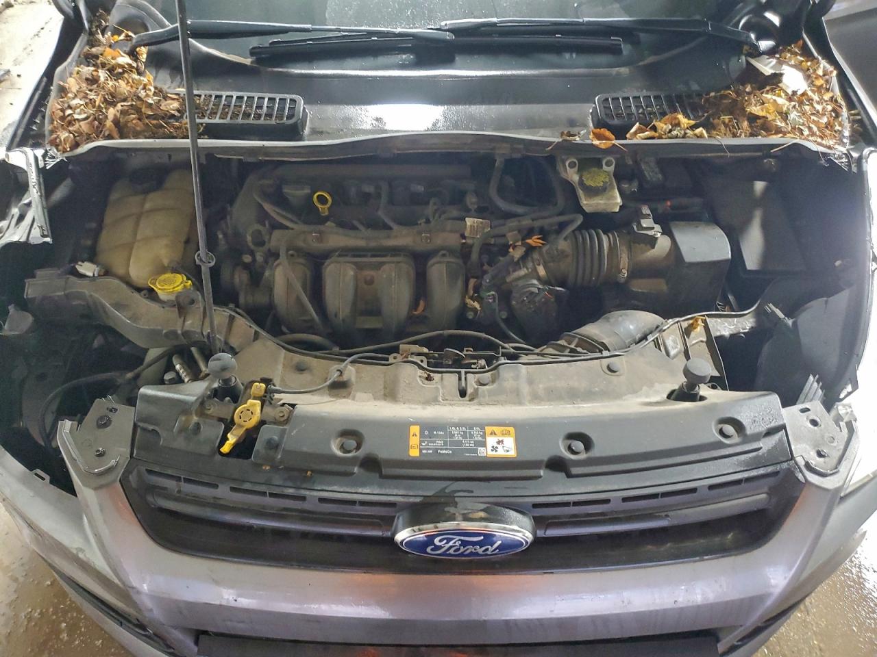 2014 FORD ESCAPE S photo 11