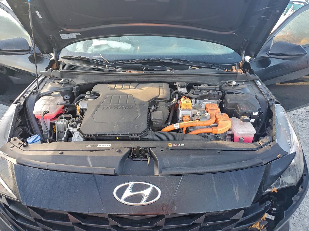 2023 HYUNDAI ELANTRA BLUE photo 11