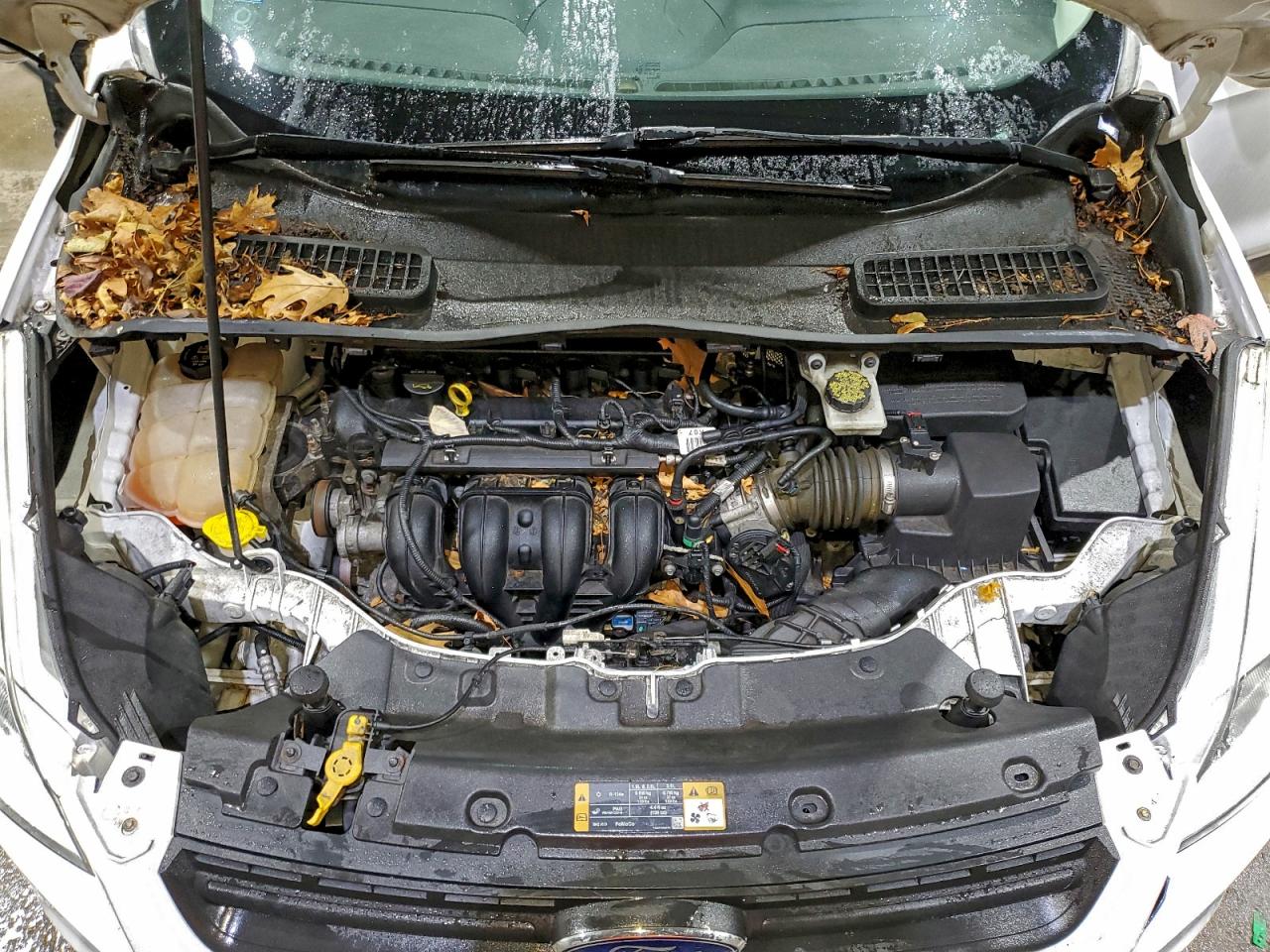 2014 FORD ESCAPE S photo 12