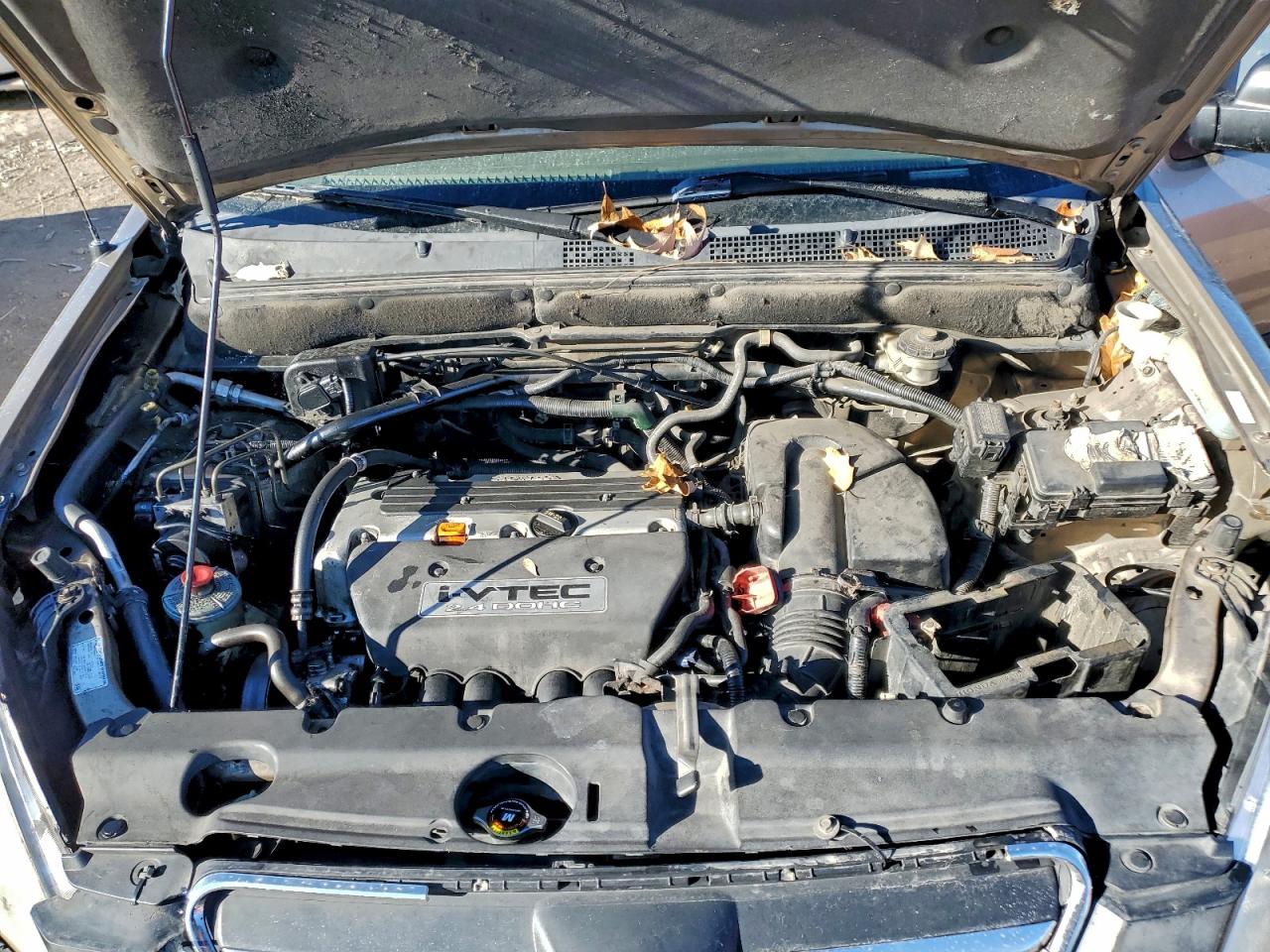 2005 HONDA CR-V LX photo 12
