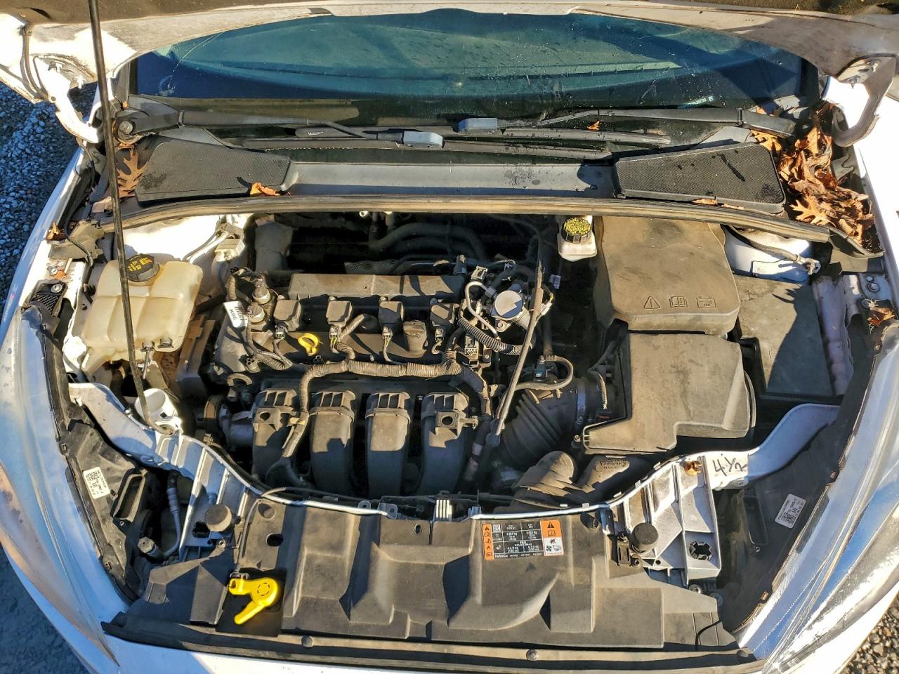 2017 FORD FOCUS SE photo 11