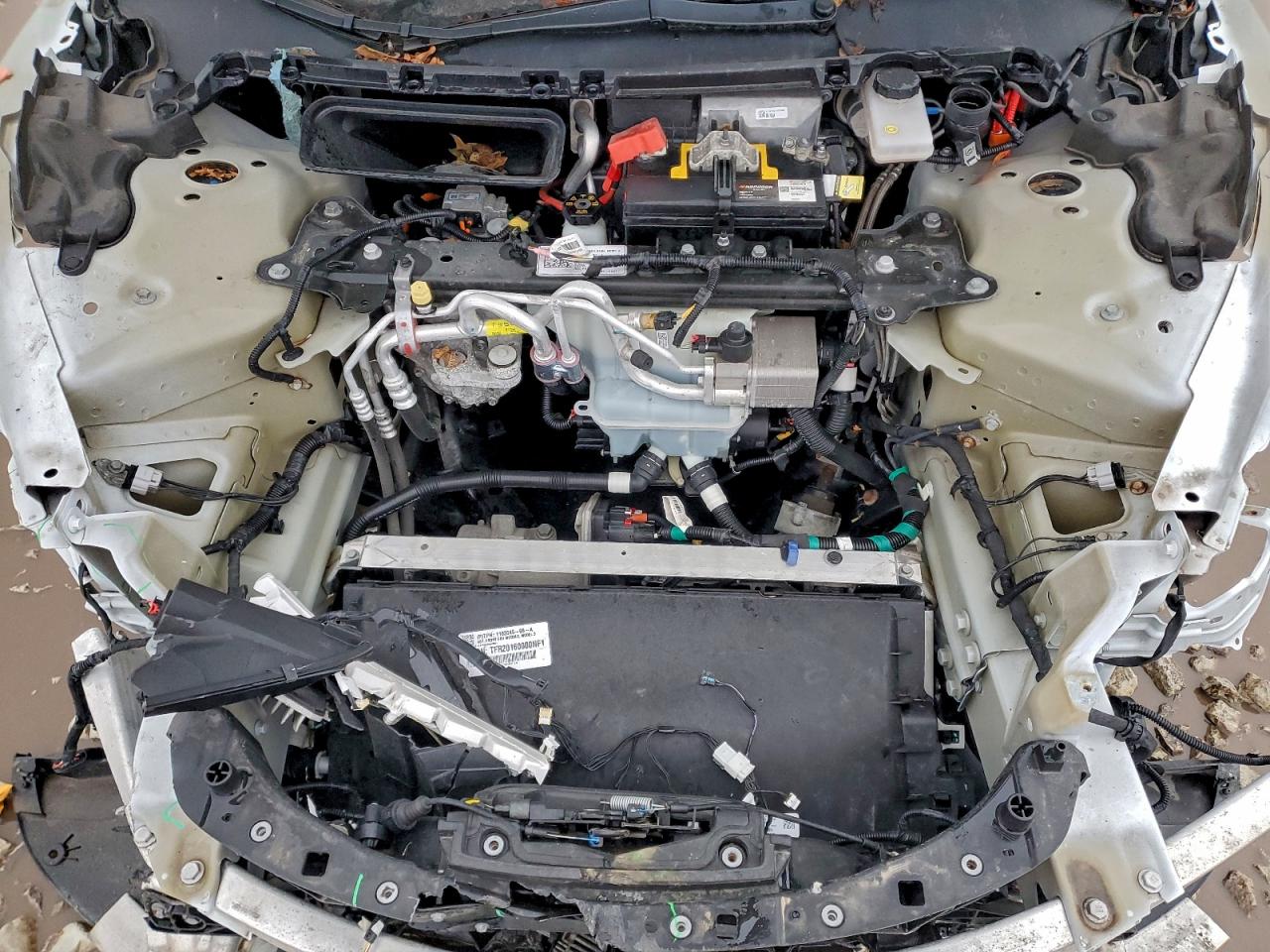 2020 TESLA MODEL 3 photo 12