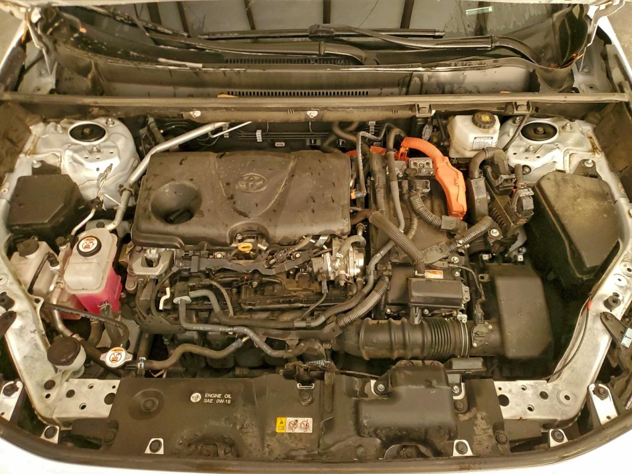 2024 TOYOTA RAV4 XLE photo 12
