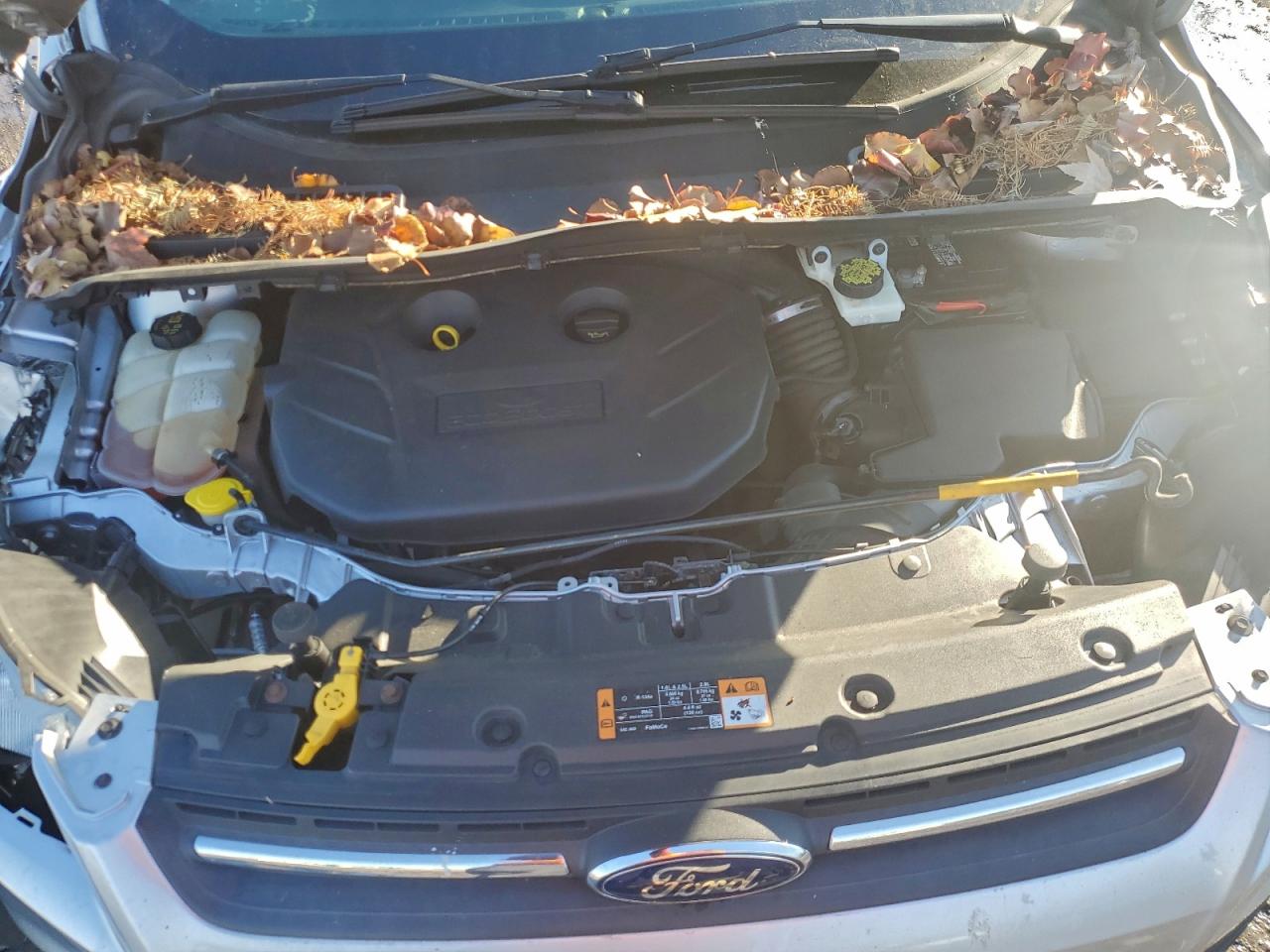 2014 FORD ESCAPE SE photo 12