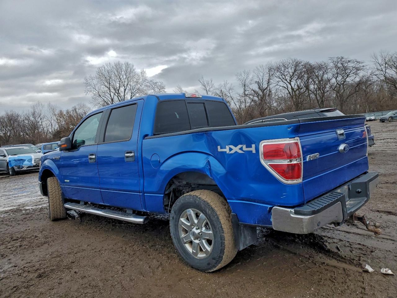 2013 FORD F150 SUPERCREW photo 2