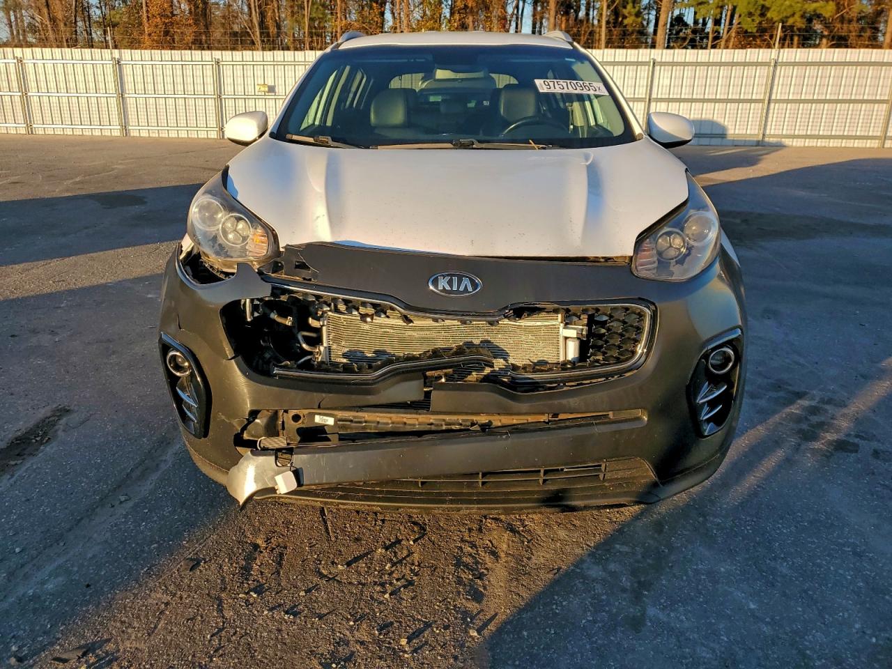 2017 KIA SPORTAGE EX photo 5
