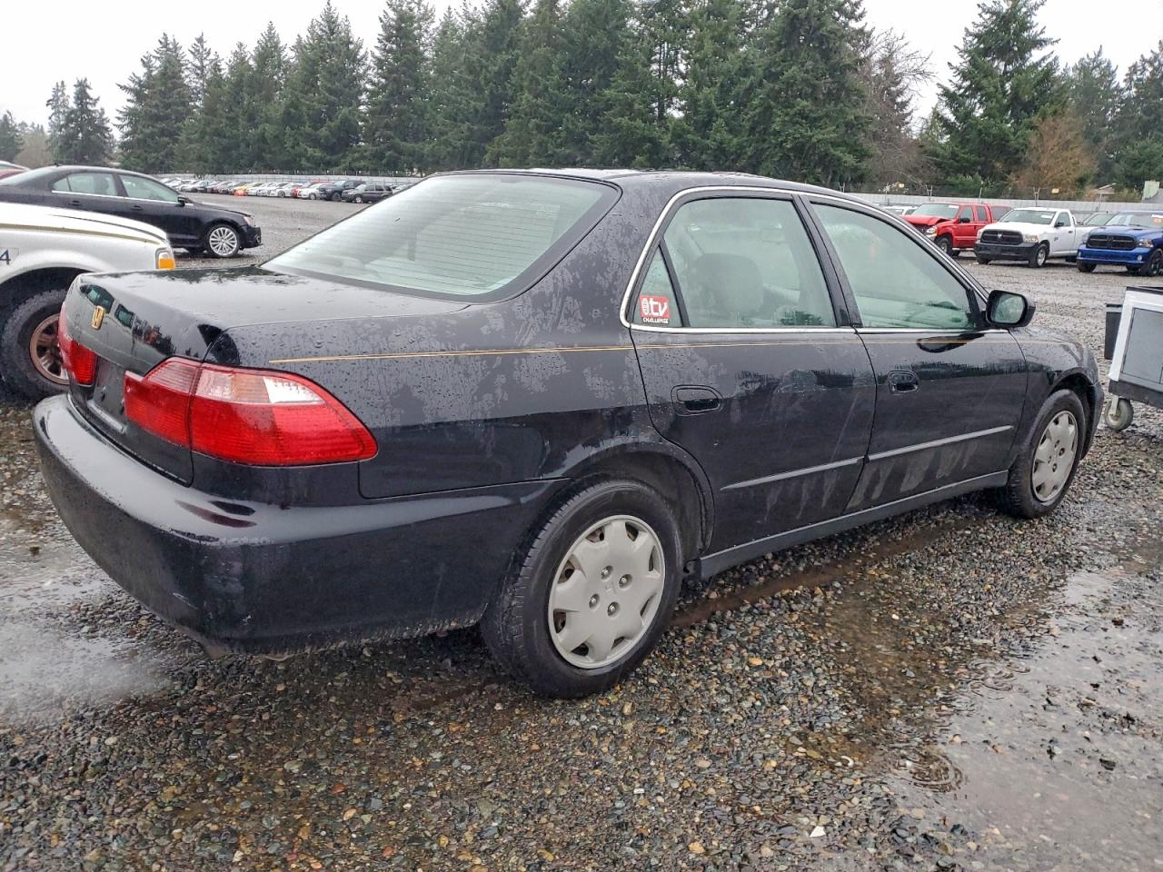 1999 HONDA ACCORD LX photo 3