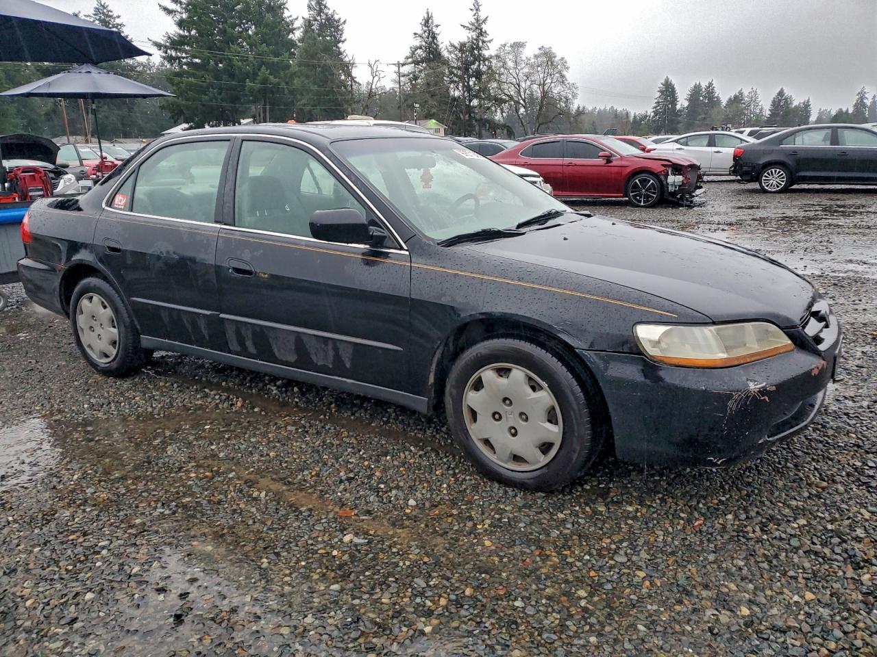 1999 HONDA ACCORD LX photo 4