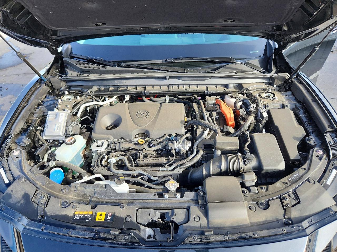 2025 MAZDA CX-50 PREMIUM PLUS photo 12