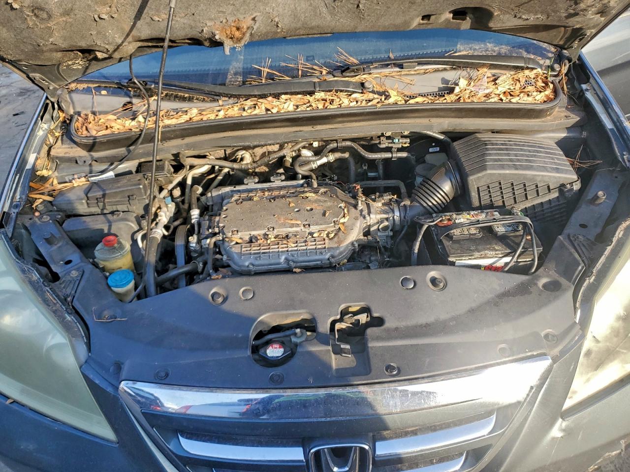 2005 HONDA ODYSSEY TOURING photo 23