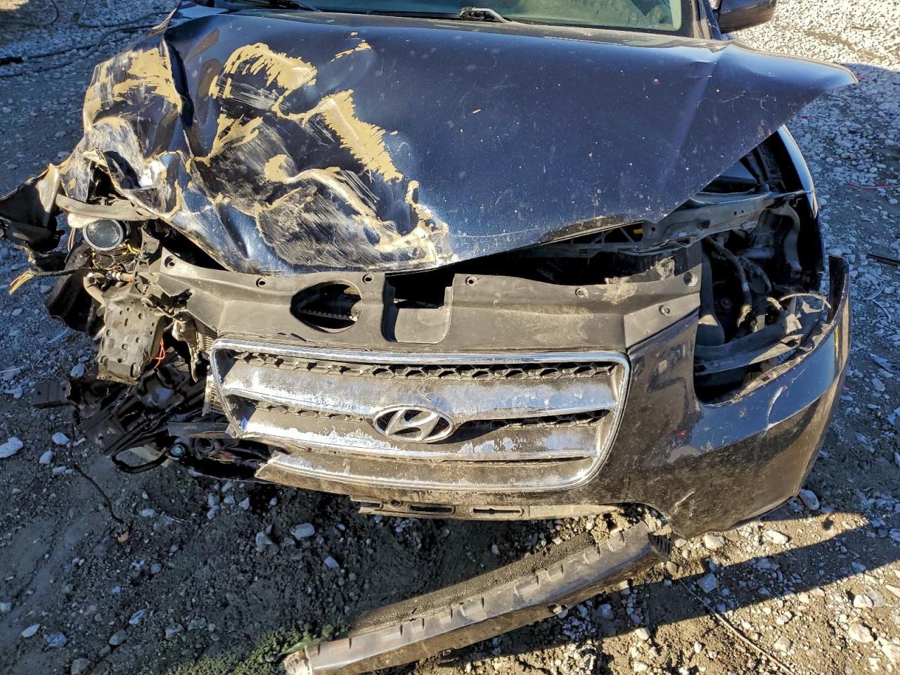 2007 HYUNDAI SANTA FE SE photo 11
