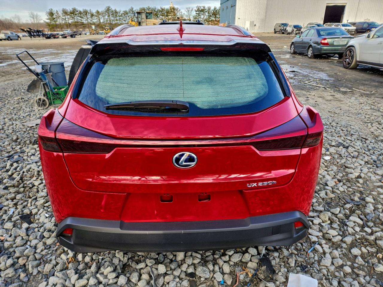 2020 LEXUS UX 250H photo 6