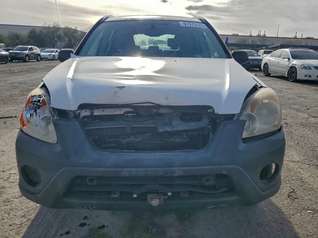 2005 HONDA CR-V LX photo 5