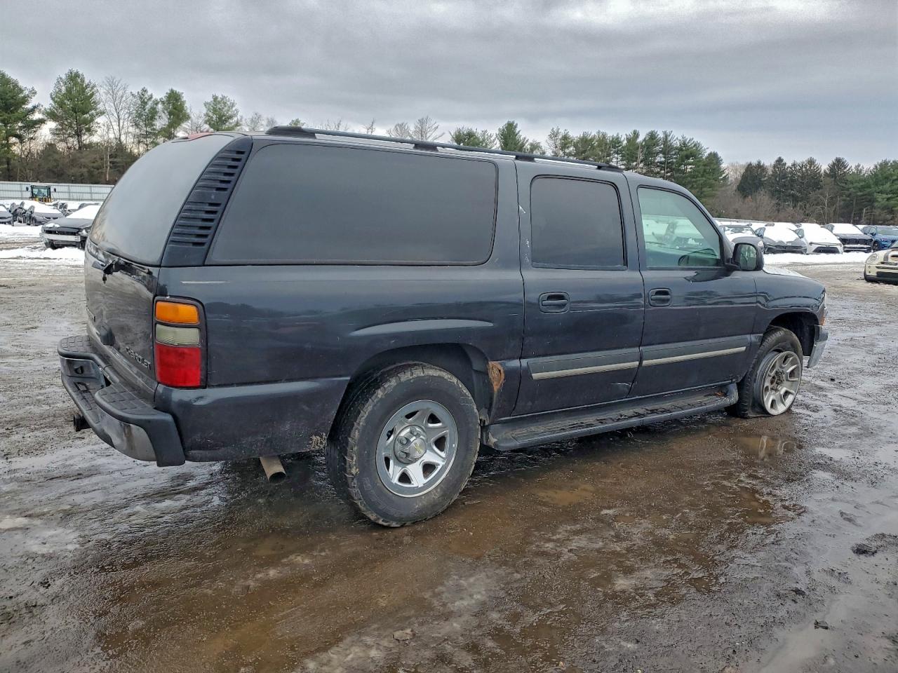 2004 CHEVROLET SUBURBAN K1500 photo 3