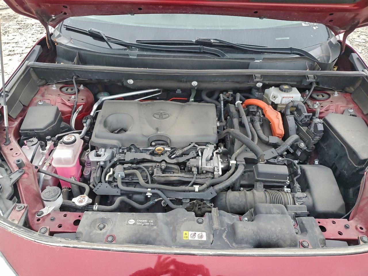 2019 TOYOTA RAV4 XLE photo 12