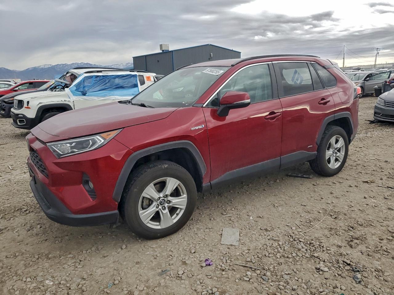 2019 TOYOTA RAV4