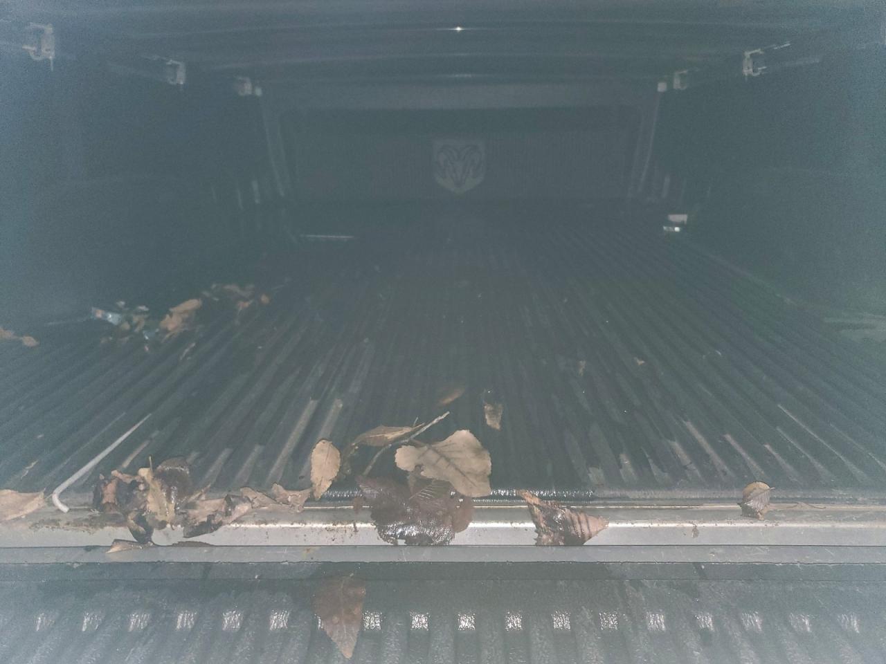 2007 DODGE RAM 1500 ST photo 10