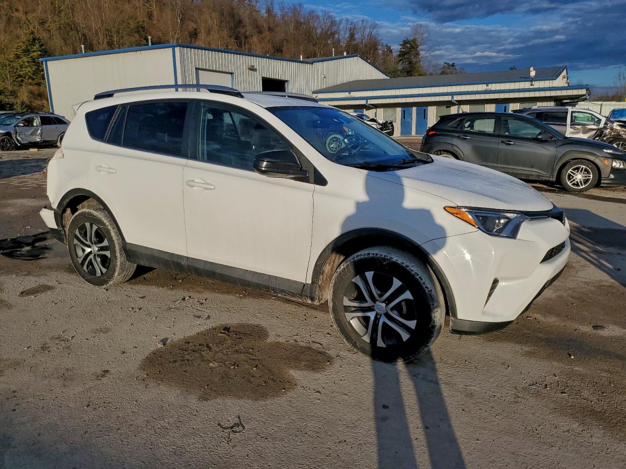 2017 TOYOTA RAV4 LE photo 4