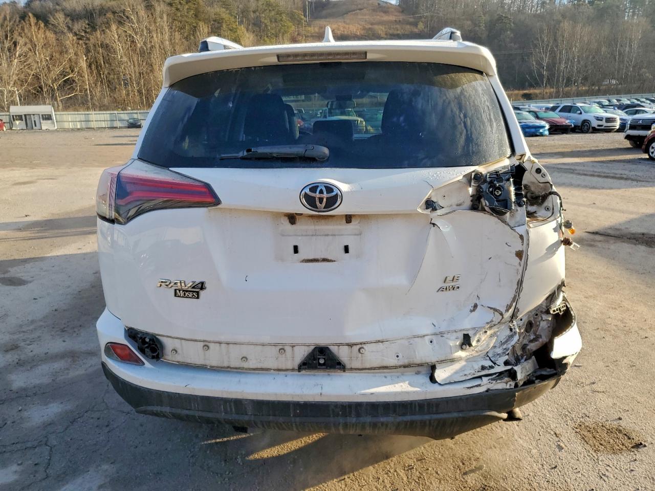 2017 TOYOTA RAV4 LE photo 6