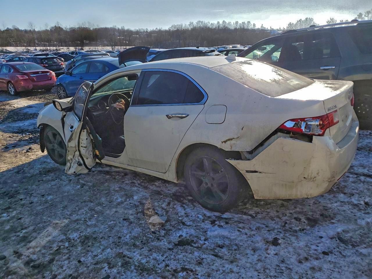 2010 ACURA TSX photo 2