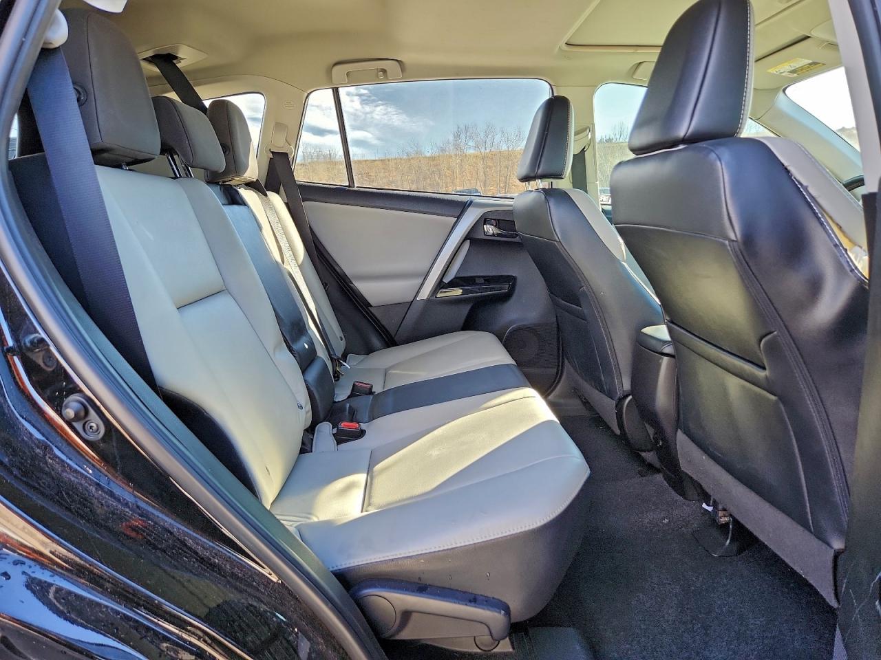 2017 TOYOTA RAV4 LIMITED photo 11