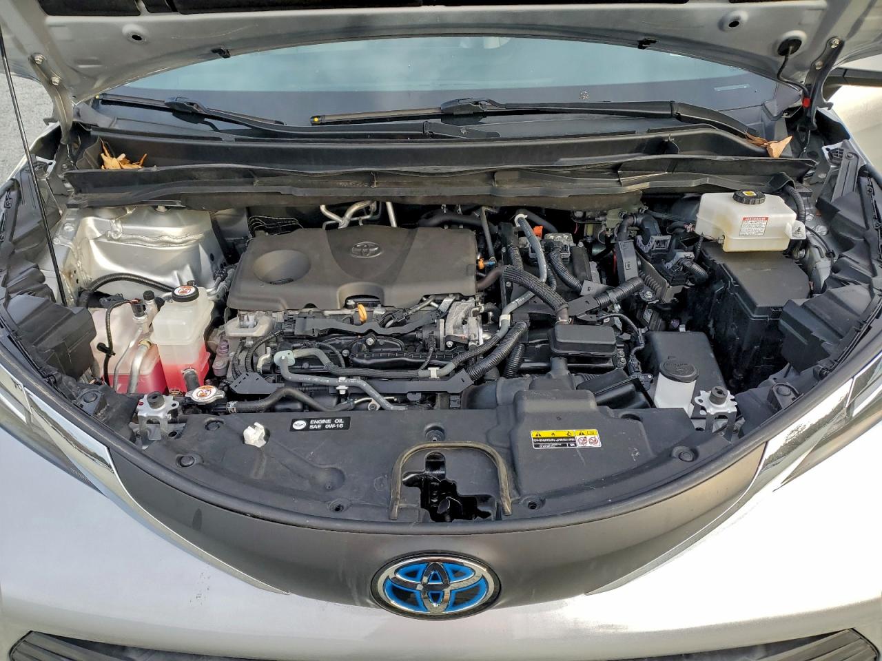 2021 TOYOTA SIENNA XLE photo 12