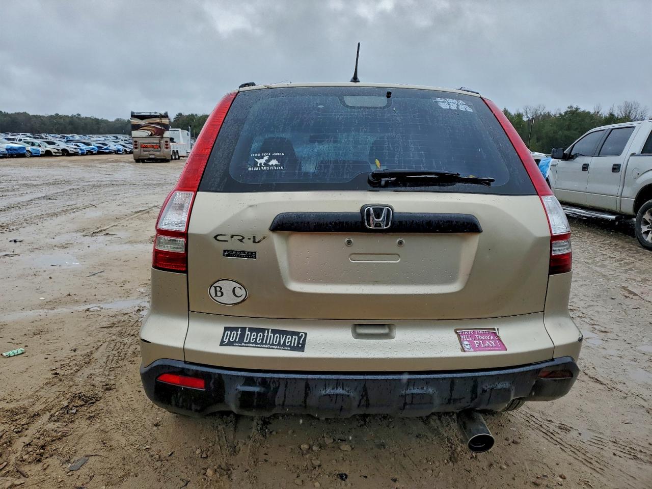 2009 HONDA CR-V LX photo 6