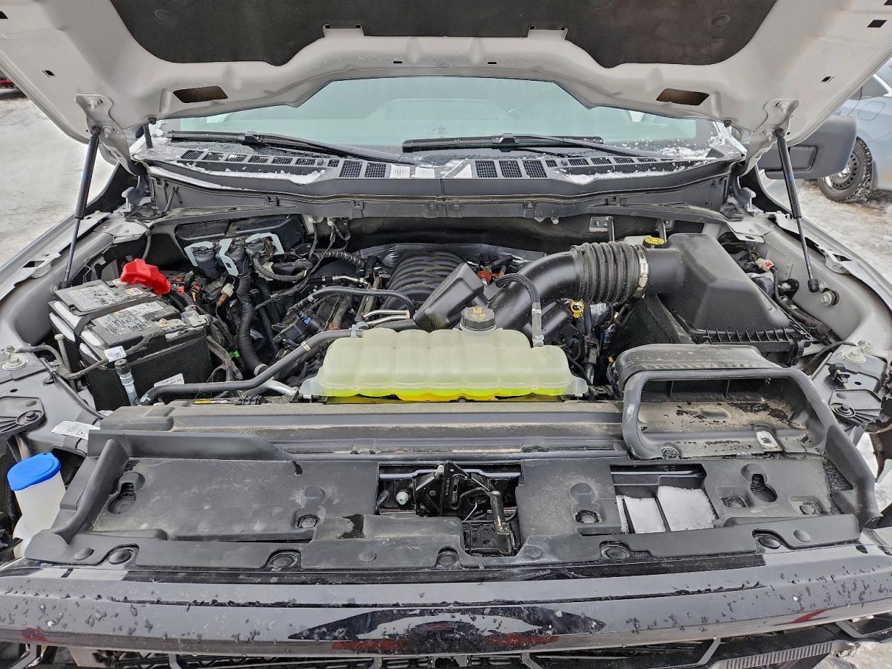 2025 FORD F150 XLT photo 11