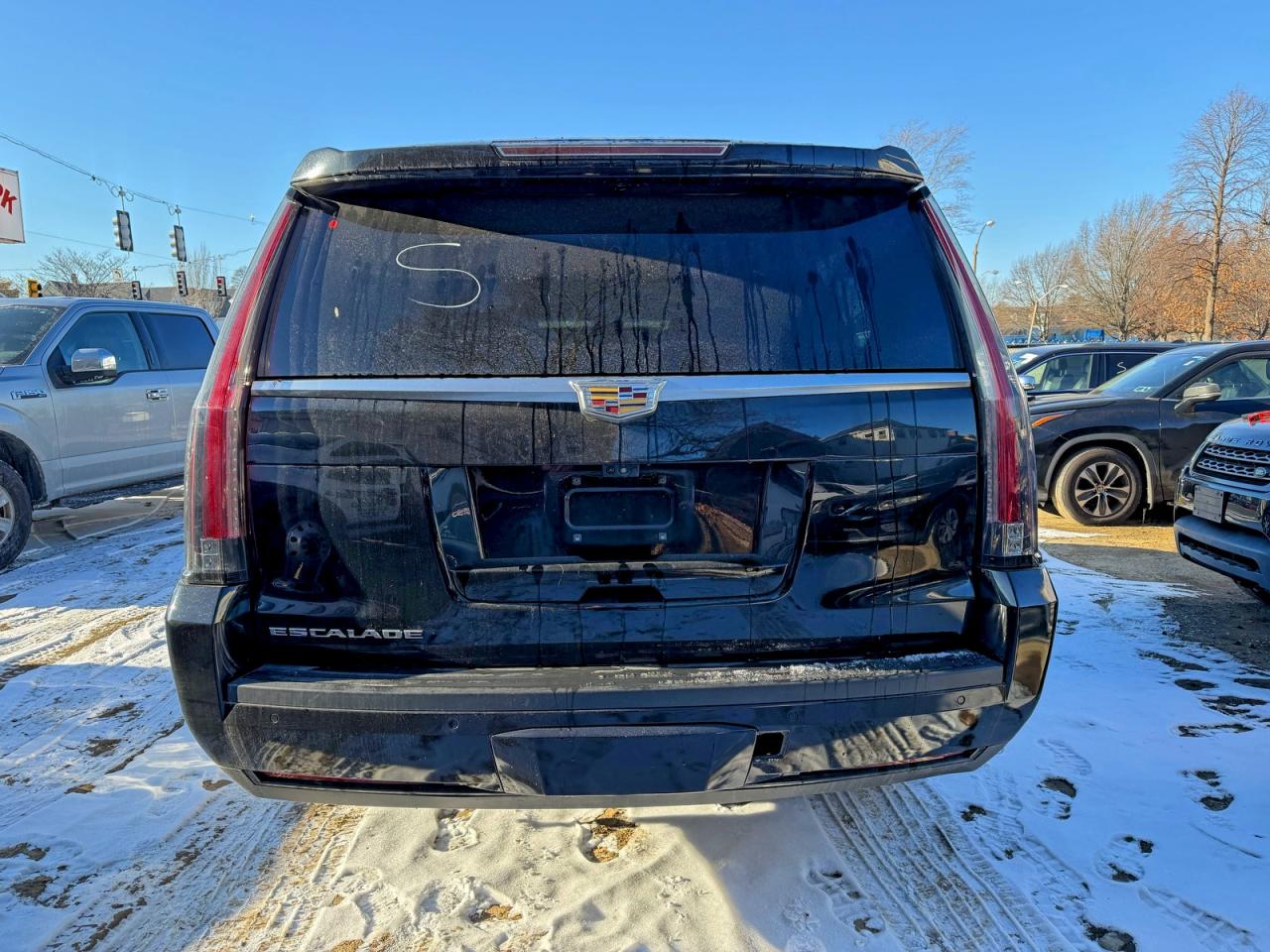 2019 CADILLAC ESCALADE ESV LUXURY photo 14