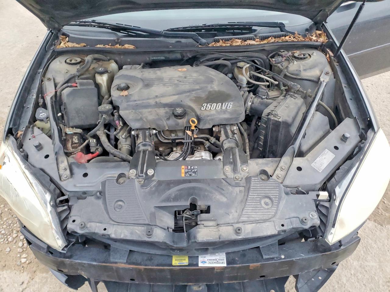 2011 CHEVROLET IMPALA LS photo 11